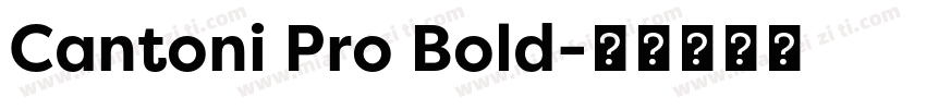 Cantoni Pro Bold字体转换